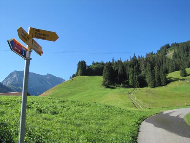 bei Punkt 1468 m.ü.M. verlassen wir die Strasse und biegen links ab