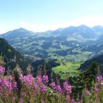 Blick Richtung Adelboden