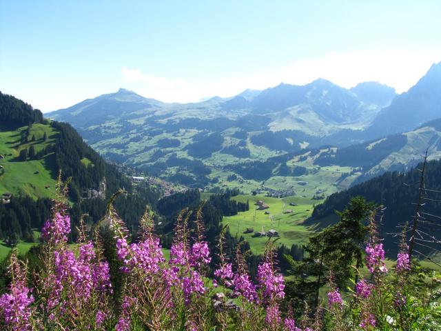 Blick Richtung Adelboden