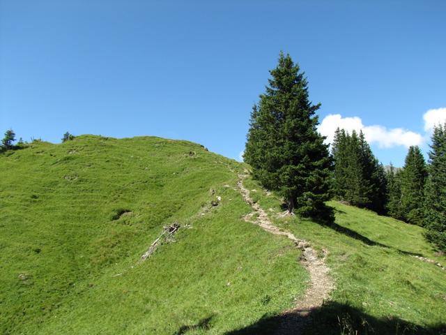 bei Punkt 1929 m.ü.M. haben wir den Wald hinter uns gelassen und betreten nun offenes Gelände