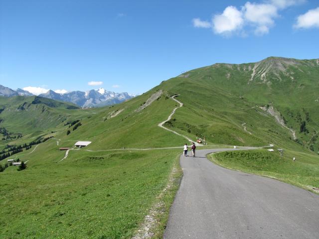 wir haben Sillerebüel verlassen und wandern nun Richtung Hahnenmoospass