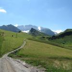 unser nächstes Ziel liegt direkt vor unseren Augen der Regenboldshorn