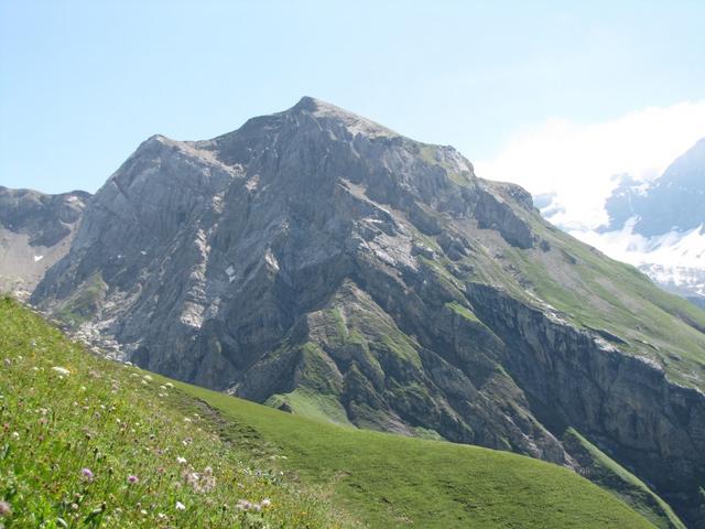 Blick zum Ammertenspitz dort oben waren wir auch schon