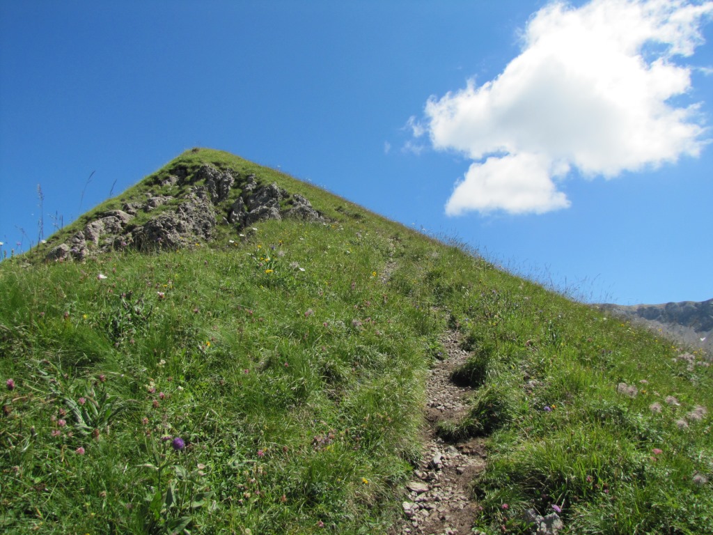 wir haben den Gipfel vom Regenboldshorn 2193 m.ü.M. erreicht
