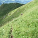 die steile Flanke des Regenboldshorn ist kurz aber steil