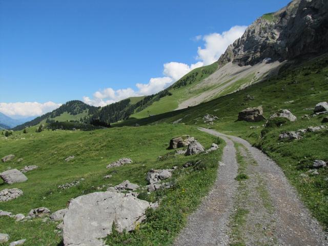 auf einer Fahrstrasse laufen wir gemütlich zur Wegkreuzung bei Bütschi