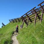 der Bergweg führt einem zwischen Lawinenverbauungen hindurch Richtung Schwandfeldspitz