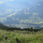 Tiefblick nach Adelboden