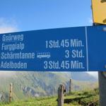 beim Schwandfeldspitz beginnt der Gsürweg. Ihn werden wir unter die Füsse nehmen