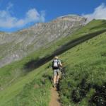 der Bergpfad führt einem unterhalb Härdigs Höreli direkt auf die Südostflanke des Gsürs