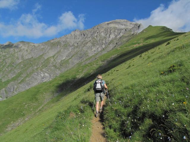 der Bergpfad führt einem unterhalb Härdigs Höreli direkt auf die Südostflanke des Gsürs