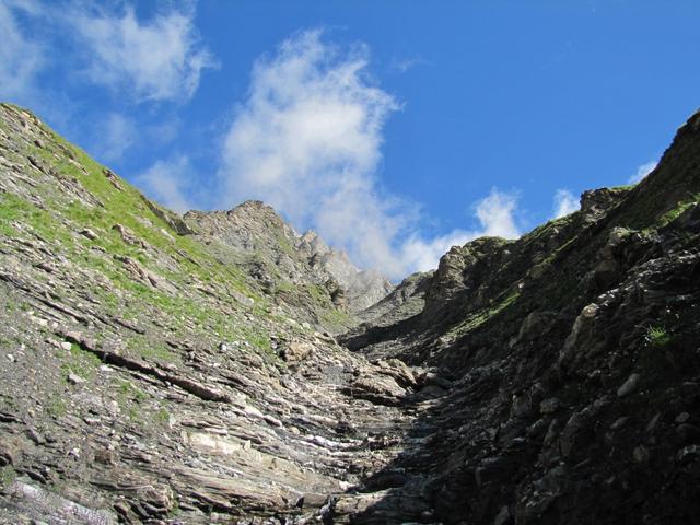 all diese Gräben bringen bei Regen das Wasser in den Stigelbach