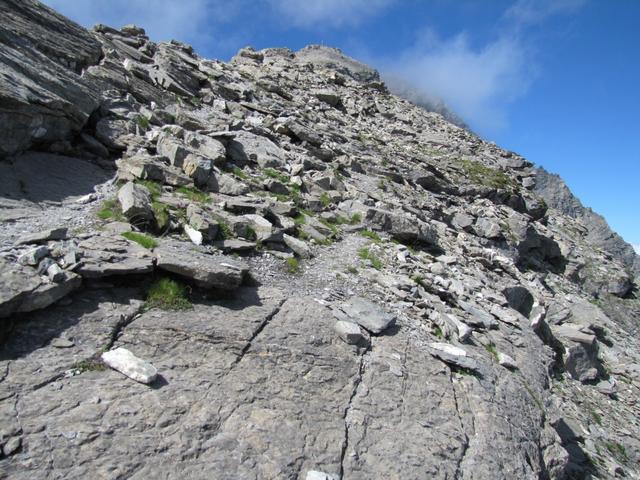 der Weg wird nun deutlich Alpiner