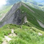 weiter geht unsere Gratwanderung. Unser nächstes Ziel heisst nun Tierberg