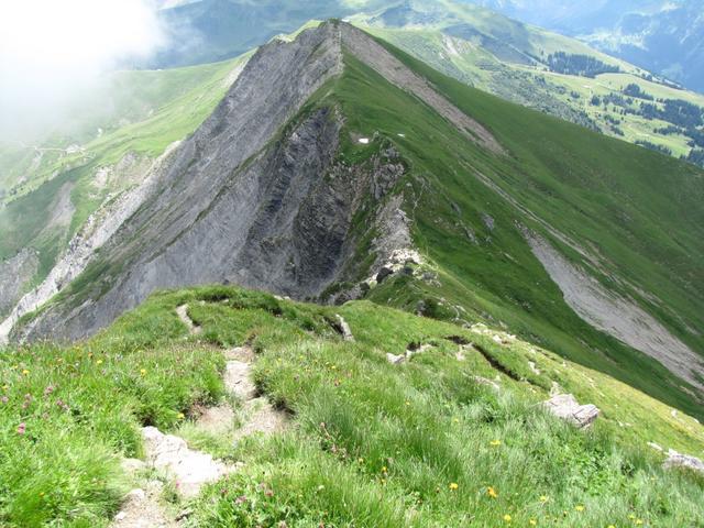 weiter geht unsere Gratwanderung. Unser nächstes Ziel heisst nun Tierberg