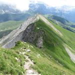 Blick auf den Gratweg und auf den Tierberg