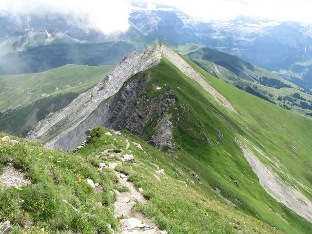 Blick auf den Gratweg und auf den Tierberg