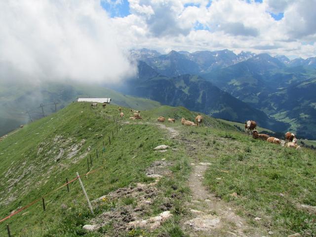 kurz vor Punkt 2194 m.ü.M.