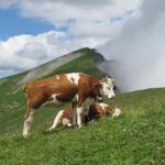 Blick zurück. Uns hat diese Bergtour sehr gefallen