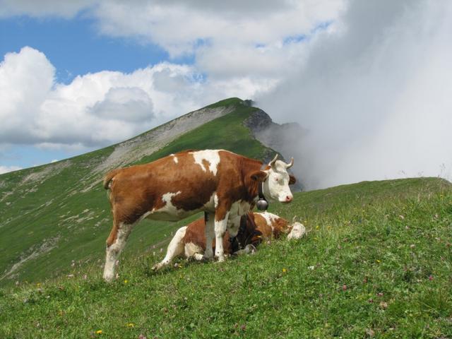 Blick zurück. Uns hat diese Bergtour sehr gefallen