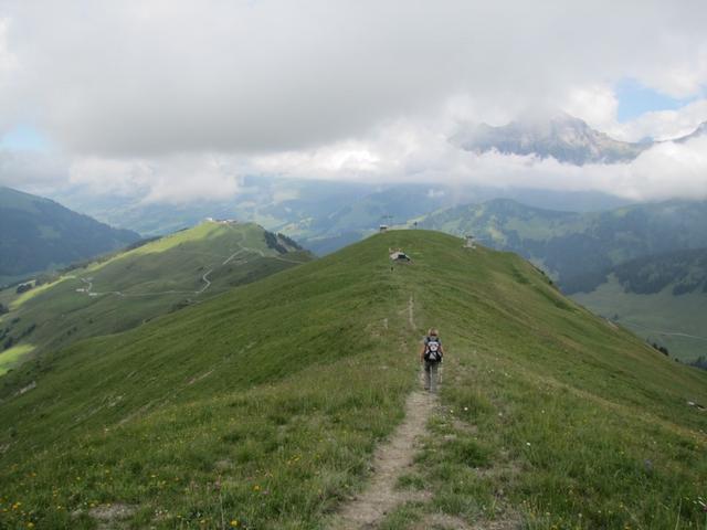 bei Punkt 2194 m.ü.M. sind wir links abgebogen und wandern nun Richtung Sillerenbühl