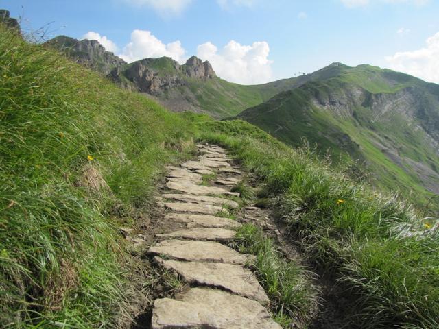 der Weg wird sehr gut unterhalten