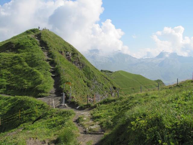 ein kleines steiles Stück und wir haben den Balmeregghorn erreicht