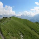 der Wanderweg führt nun alles dem Grat entlang weiter zum Tannensee