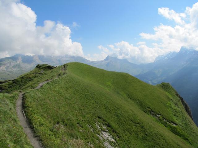 der Wanderweg führt nun alles dem Grat entlang weiter zum Tannensee