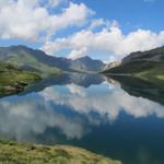 obwohl ein Stausee, ist der Tannensee ein sehr schöner See