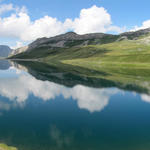 sehr schönes Breitbildfoto vom Tannensee