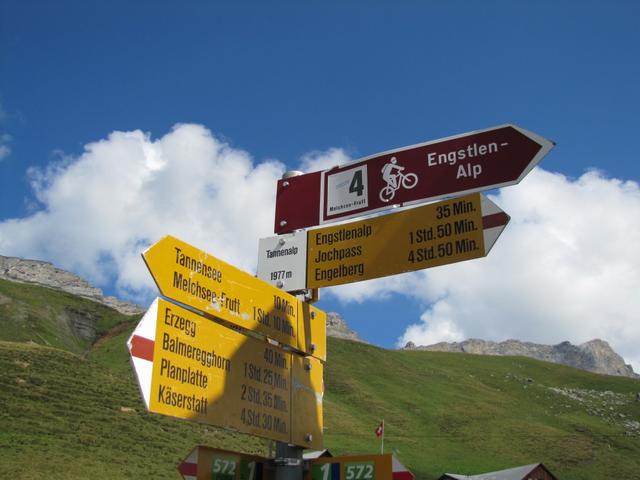 Wegweiser bei der Tannalp 1977 m.ü.M. hier schwenkten wir rechts ab Richtung Engstlenalp