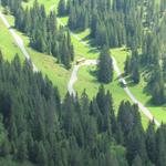 Tiefblick ins Gental. Ein Postauto fährt hinauf zur Engstlenalp