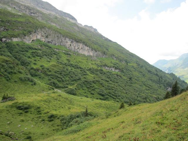 Blick zum Steilhang von Teiflaui