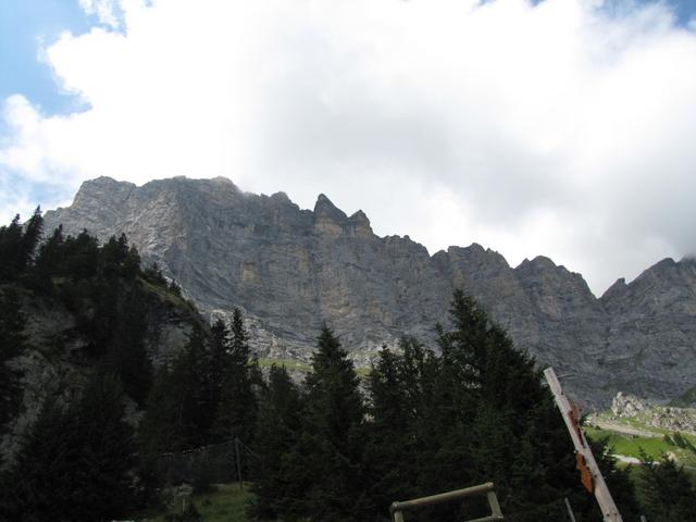 Blick hinauf zum Tällistock. Ein Kletterparadies