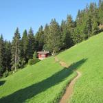 unsere Bergtour beginnt. Auf dem Weg zu Punkt 1530 m.ü.M.