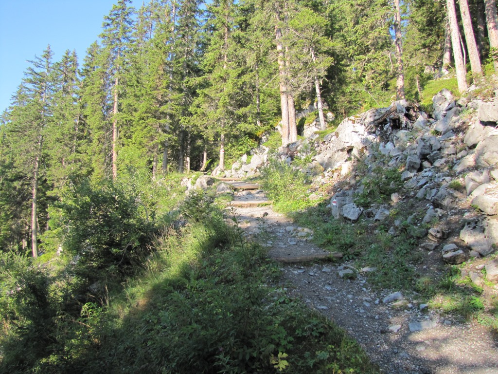 auf einem breiten Wanderweg geht es gemütlich aufwärts