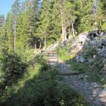 auf einem breiten Wanderweg geht es gemütlich aufwärts