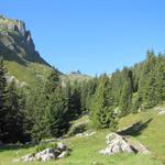 direkt vor uns am Horizont, tauchen die Lobhörner auf