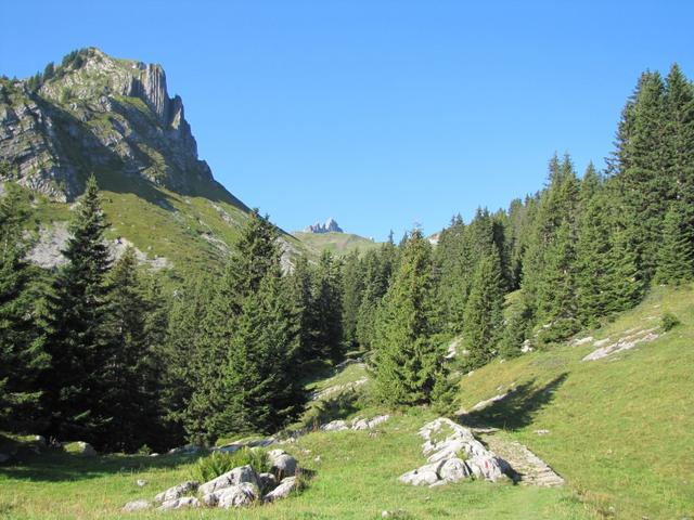 direkt vor uns am Horizont, tauchen die Lobhörner auf