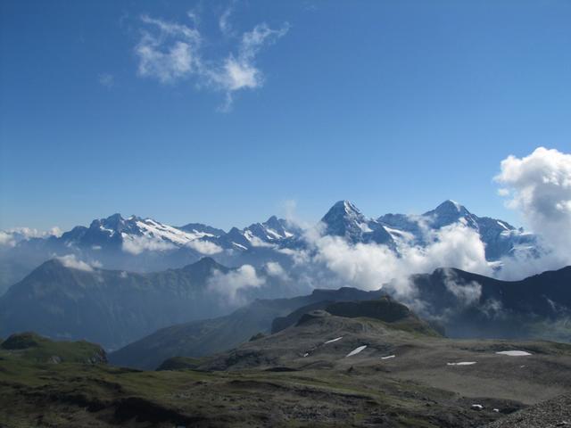 was für eine Aussicht auf Wetterhorn, Schreckhorn, Lauteraarhorn, Eiger, Mönch und Jungfrau