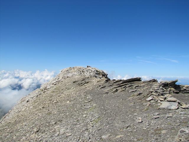 wir haben den breiten Gipfel der Schwalmere 2777 m.ü.M. erreicht