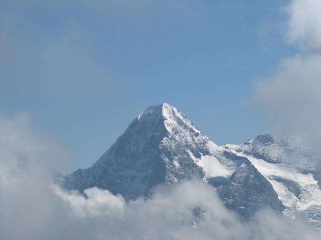 Blick zum Eiger mit Eigernordwand