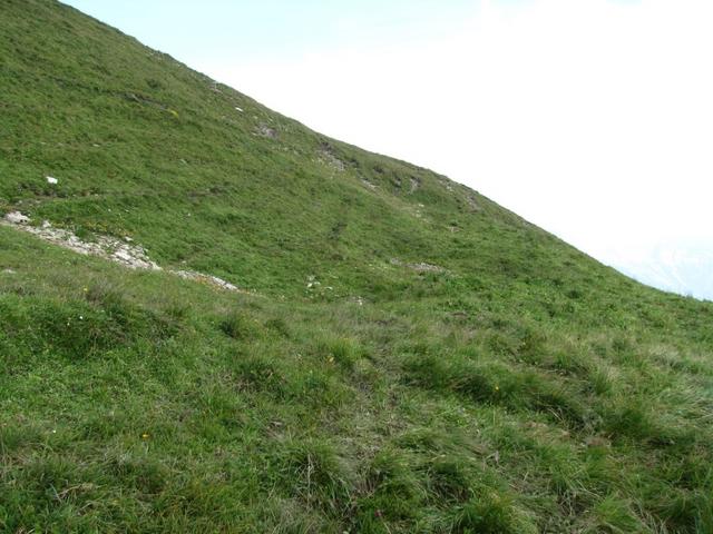 zwischen Punkt 2365 m.ü.M. und Punkt 2286 m.ü.M. trifft der Schafwägli wieder auf den normalen Wanderweg