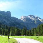 bei der Rezlibergweid mit Blick zum Rawilpass. Dort oben waren wir als wir die Wildhorntour gemacht haben