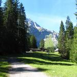 vor uns taucht das Restaurant Siebenbrunnen auf Rezlibergli auf