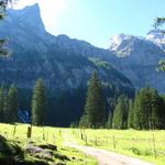 die Weggabelung auf Rezlibergli 1403 m.ü.M. hier sind wir links abgebogen