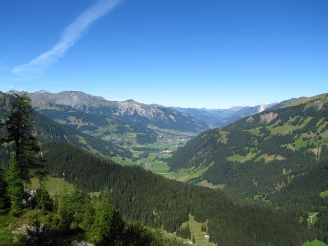 Weitblick Richtung Lenk