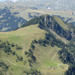 Blick auf die Langermatte und das Oberlaubhorn. Dort oben waren wir auch schon