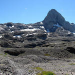 sehr schönes Breitbildfoto mit Blick zum Gletscherhore